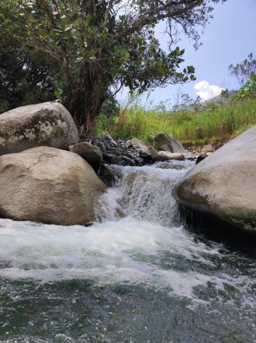a stream of water with rocks in a river at Finca PiedrAlta Cisneros in Cisneros