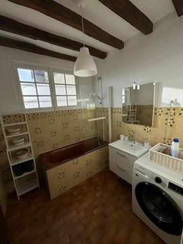 une salle de bain avec un lavabo et une machine à laver dans l'établissement Grande Maison Briarde, à Presles-en-Brie