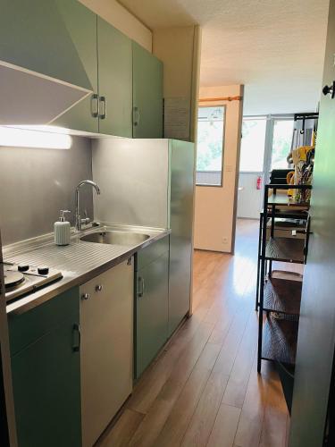 une cuisine avec des armoires vertes et un évier dans l'établissement Studio pied de pistes Tour de la Biche, à Besse-et-Saint-Anastaise