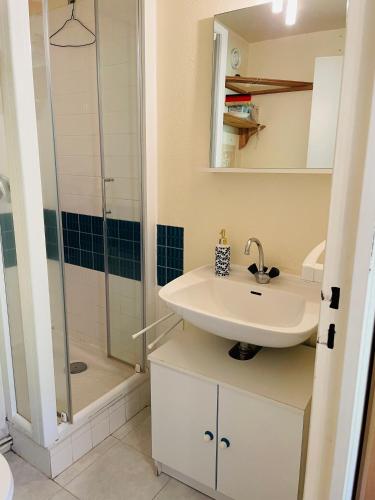une salle de bain avec un lavabo et une douche dans l'établissement Studio pied de pistes Tour de la Biche, à Besse-et-Saint-Anastaise
