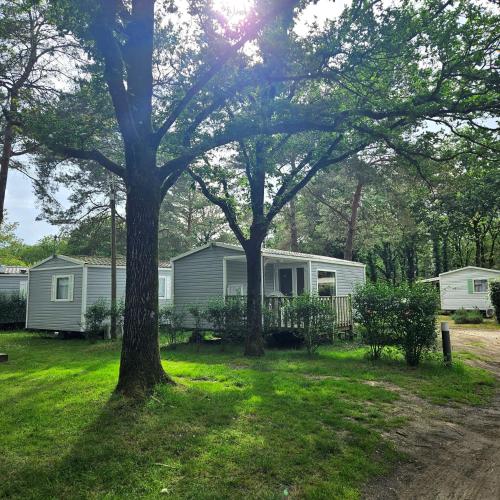 un mobile home dans une cour avec un arbre dans l'établissement MH-MAUFAY -- Mobil-Home -- Puy du Fou - 30 min, à La Boissière-de-Montaigu