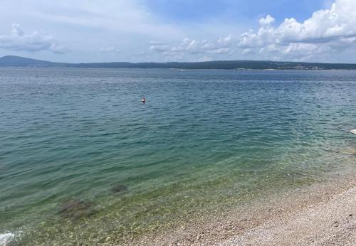 a body of water with a person swimming in it at Ary's App in Selce