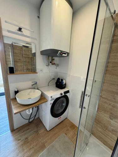 a bathroom with a washing machine and a sink at RK Apartment Brno in Brno