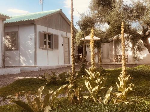 Barreira Beachfront Rooms 4