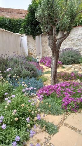 Photo de la galerie de l'établissement Le chalet des lagunes, à Peyriac-de-Mer