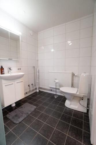 a bathroom with a toilet and a sink at Lägenhetshotell i Sveg in Sveg