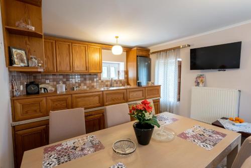 Kuchyň nebo kuchyňský kout v ubytování Popi s house