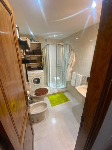 a bathroom with a shower and a toilet and a sink at Tagara in Puerto de Santiago