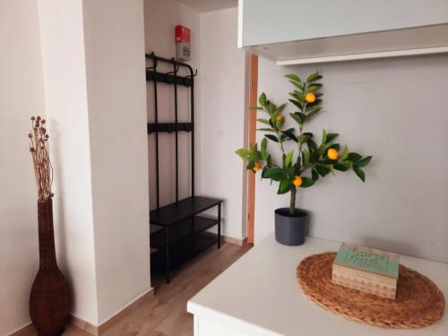 Billede fra billedgalleriet på Alpine Relax Bovec i Bovec