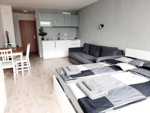 Køkken eller tekøkken på Alpine Relax Bovec