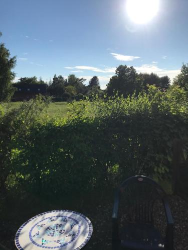 Κήπος έξω από το Sommerwiese
