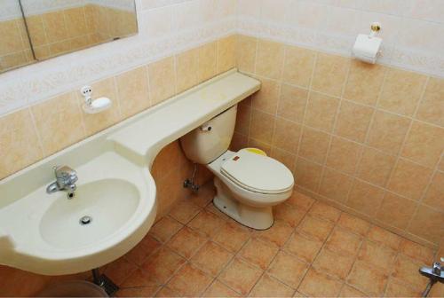 a bathroom with a sink and a toilet at Hera Castle Pension in Seogwipo