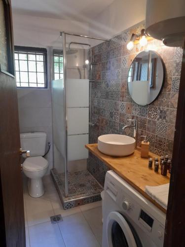 a bathroom with a toilet and a sink and a mirror at Mountain and Sea view in Miléai