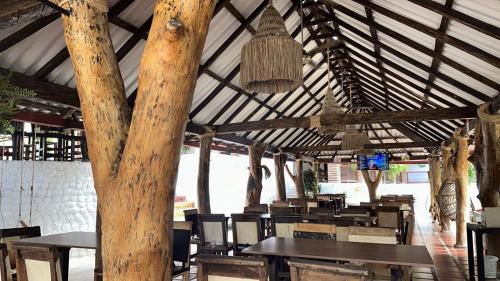 Εστιατόριο ή άλλο μέρος για φαγητό στο Cabañas Pork Light