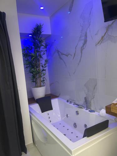 a bathroom with a bath tub with a potted plant at MARIDDA-experience rooms- in Giardini Naxos