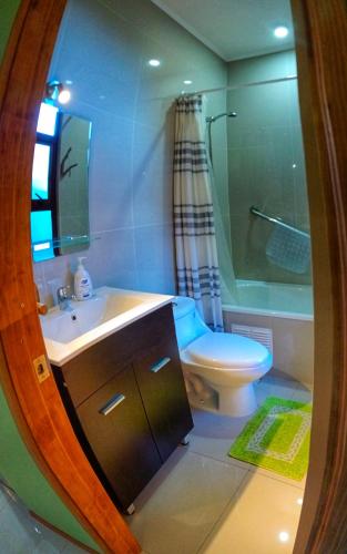 a bathroom with a sink and a toilet and a shower at La Rueda del Chucao in Valdivia