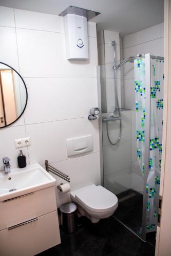 a bathroom with a shower and a toilet and a sink at Zweizimmerwohnung - Ferienwohnung im Sankt Englmar in Sankt Englmar