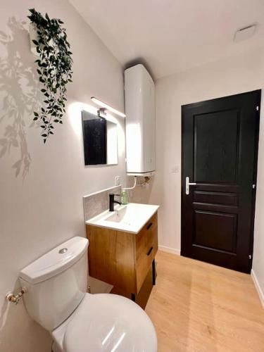 La salle de bains est pourvue de toilettes, d'un lavabo et d'une porte noire. dans l'établissement MAISON LA FEUILLERAIE N3-standingmaison-Wifi-proche centre ville-PROPERTY RENTAL NM, à Fontenay-le-Comte