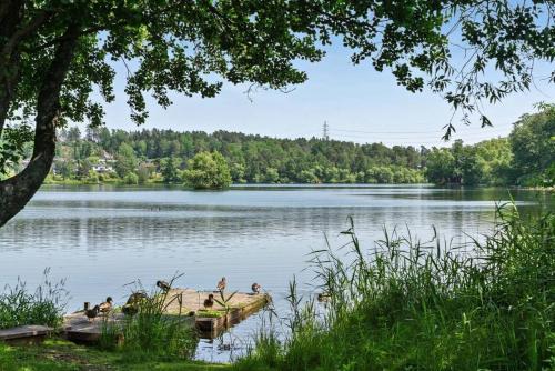 Paesaggio naturale nelle vicinanze dell'appartamento