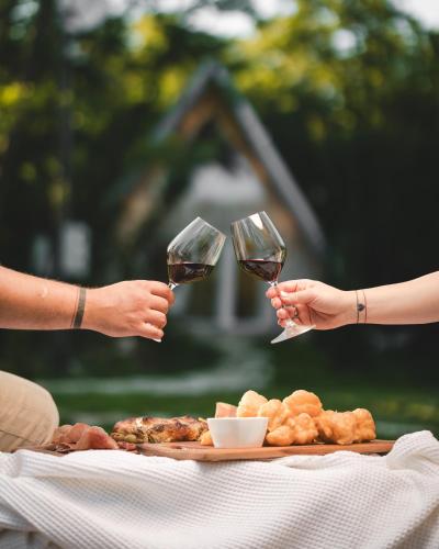 two people holding wine glasses over a table with food at Vukova dolina apartments in Cetinje
