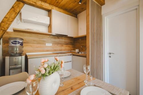 Kuchyň nebo kuchyňský kout v ubytování Vukova dolina apartments