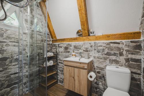 a bathroom with a shower and a toilet and a sink at Vukova dolina apartments in Cetinje