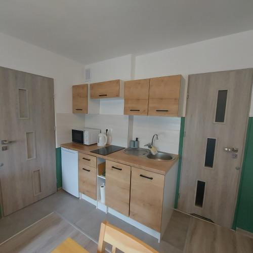 a small kitchen with wooden cabinets and a sink at Apartament u Krystynki in Kętrzyn