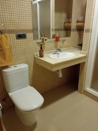 a bathroom with a toilet and a sink at Apartamento centrico Luada in Vigo
