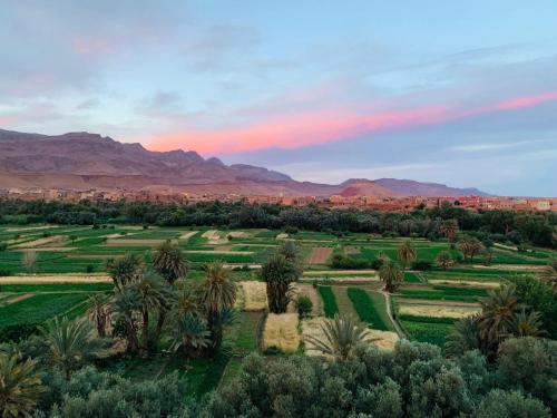 an aerial view of a field with palm trees and mountains at Riad iriki in Tinerhir