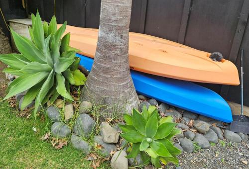 a surfboard and a tree next to a tree at Piece of Paradise in Auckland