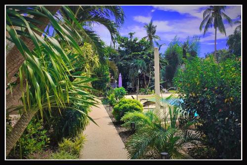 un jardín con palmeras y un sendero en Imagine-Bohol en Panglao City