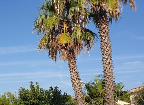 Φωτογραφία από το άλμπουμ του Kylian's Dream T4 meublé 4 étoiles 5mn des plages Pérols σε Perols