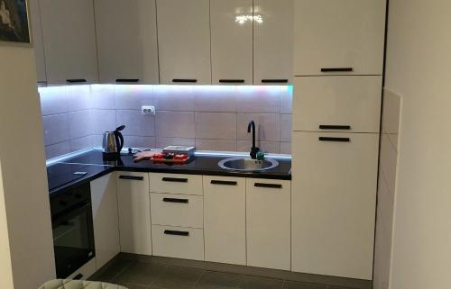 a kitchen with white cabinets and a sink at Istocno Sarajevo, Lukavica, Great View Apartment in Donje Mladice