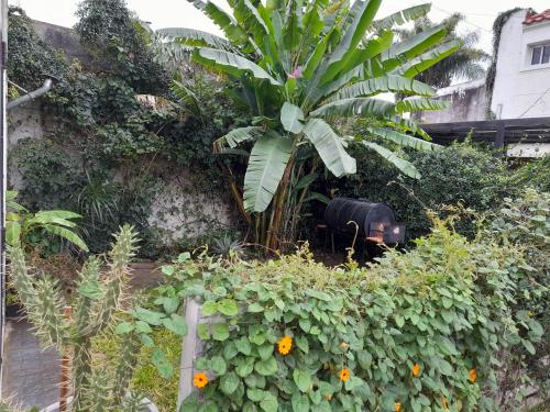 Κήπος έξω από το CasaCinema