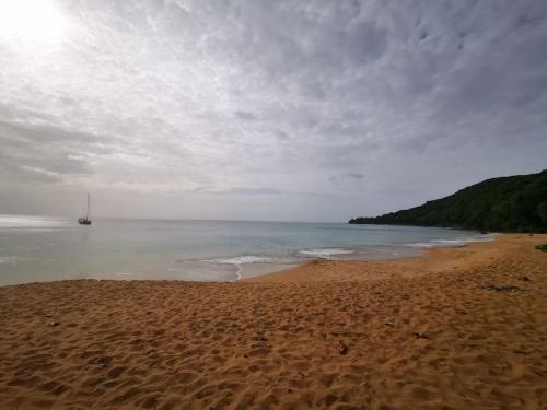 a sandy beach with a boat in the water at Swiiti 3 étoiles - 2 chambres - Deshaies centre in Deshaies