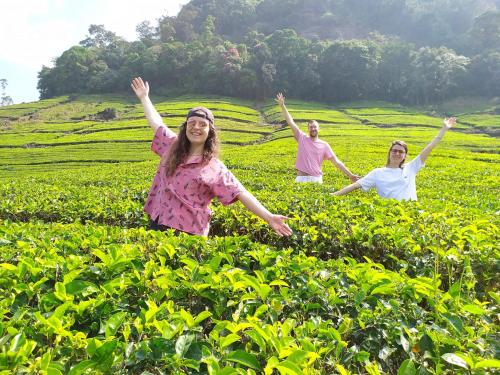 three women in a field with their arms in the air at Forestscape Resort Munnar in Munnar
