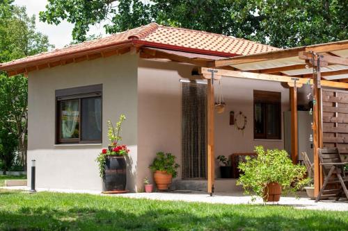 Nerium - Golden Fig Sykia lodge