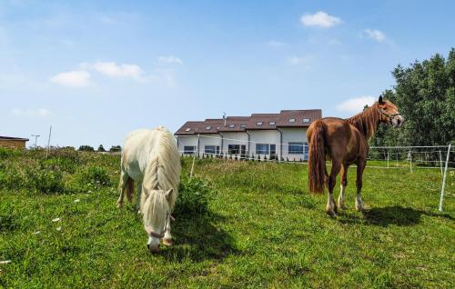 two horses in a field with a building in the background at Cozy Apartment In Dobrzyca With Wifi in Dobrzyca
