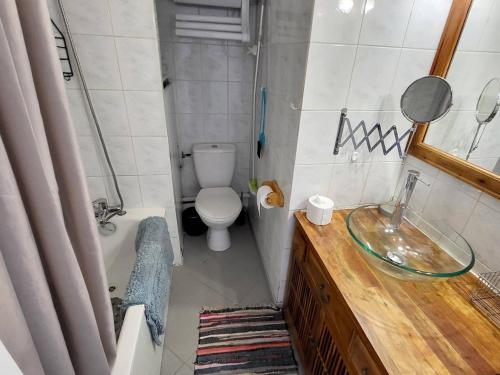une salle de bain avec un lavabo en verre et des toilettes dans l'établissement Appartement T2 avec Piscine Gratuite, Parking Privatif, à 200m de la Plage - Animaux Acceptés - FR-1-316-336, à Six-Fours-les-Plages