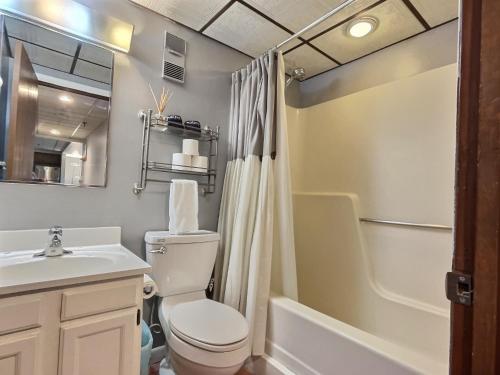 a bathroom with a toilet and a sink and a shower at LilBear- AC, Pool, Sauna, Hot Tub, Near Resort in Killington