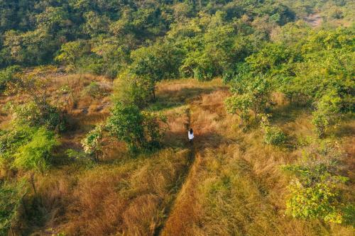 a person standing on a hill in a field at Dharana at Shillim All Inclusive Luxury Wellness Retreat in Lonavala