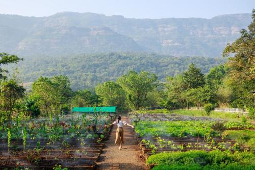 a woman walking through a garden with mountains in the background at Dharana at Shillim All Inclusive Luxury Wellness Retreat in Lonavala