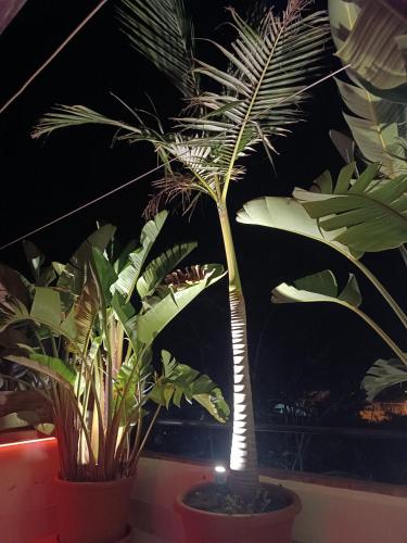 Taman di luar B&B Villa Lidia