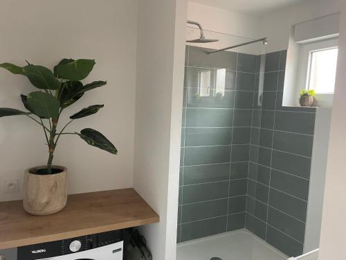 La salle de bains est pourvue d'une douche avec une plante en pot. dans l'établissement Appartement calais nord, à Calais