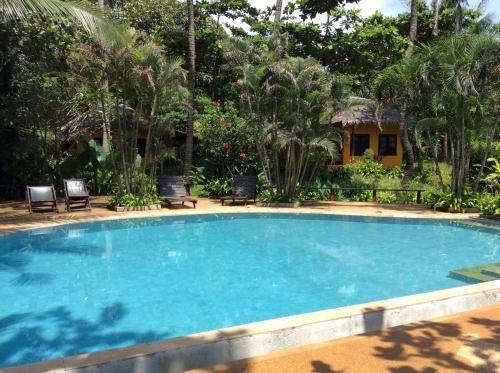 Hồ bơi trong/gần Relax Bay Beach Resort