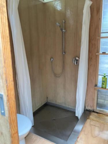 a bathroom with a shower with a toilet at Springfield Studio in Auckland