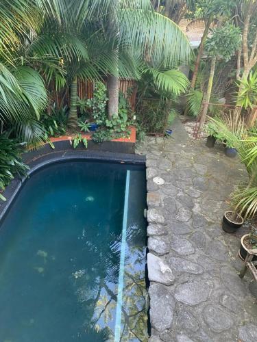 a swimming pool in a yard with palm trees at Springfield Studio in Auckland