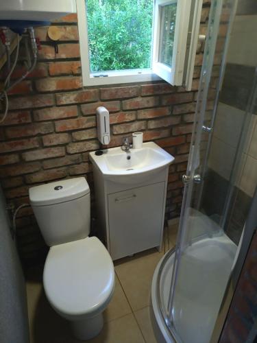 a bathroom with a toilet and a sink and a shower at Domek Leśny Zakątek z klimatyzacją in Bartel Wielki