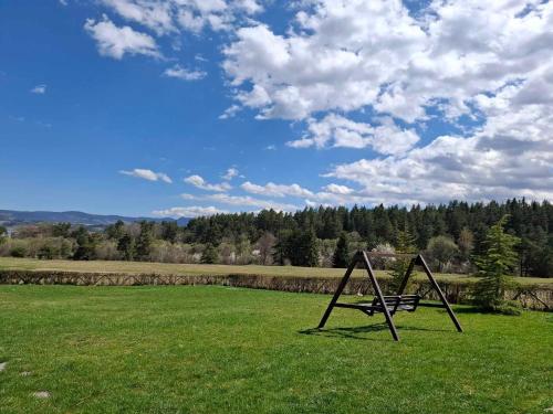 a park with a swing in a grassy field at Vila Lidia in Tsigov Chark