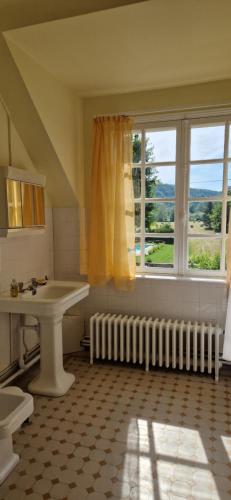 une salle de bain avec un lavabo et une fenêtre dans l'établissement Domaine du Prieuré de Saint Martin à Lavardin, à Lavardin